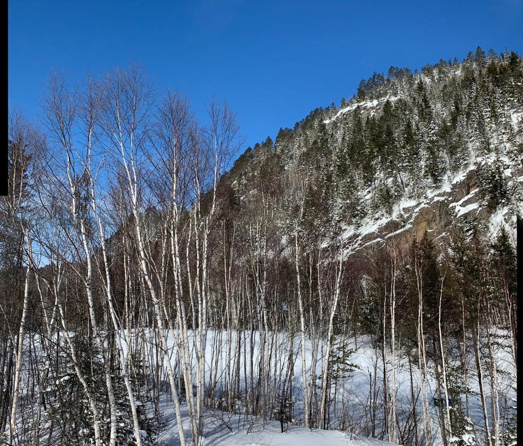 Condo Mont-Edouard LʼAnse-Saint-Jean Buitenkant foto